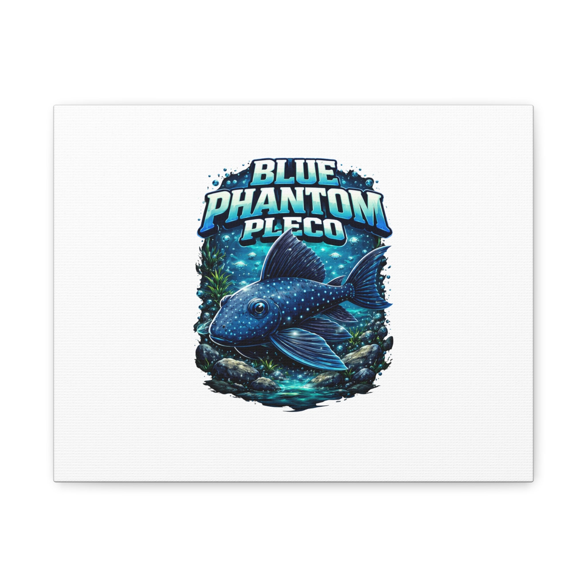 Blue Phantom Pleco Canvas Art — Matte Stretched Fish Print