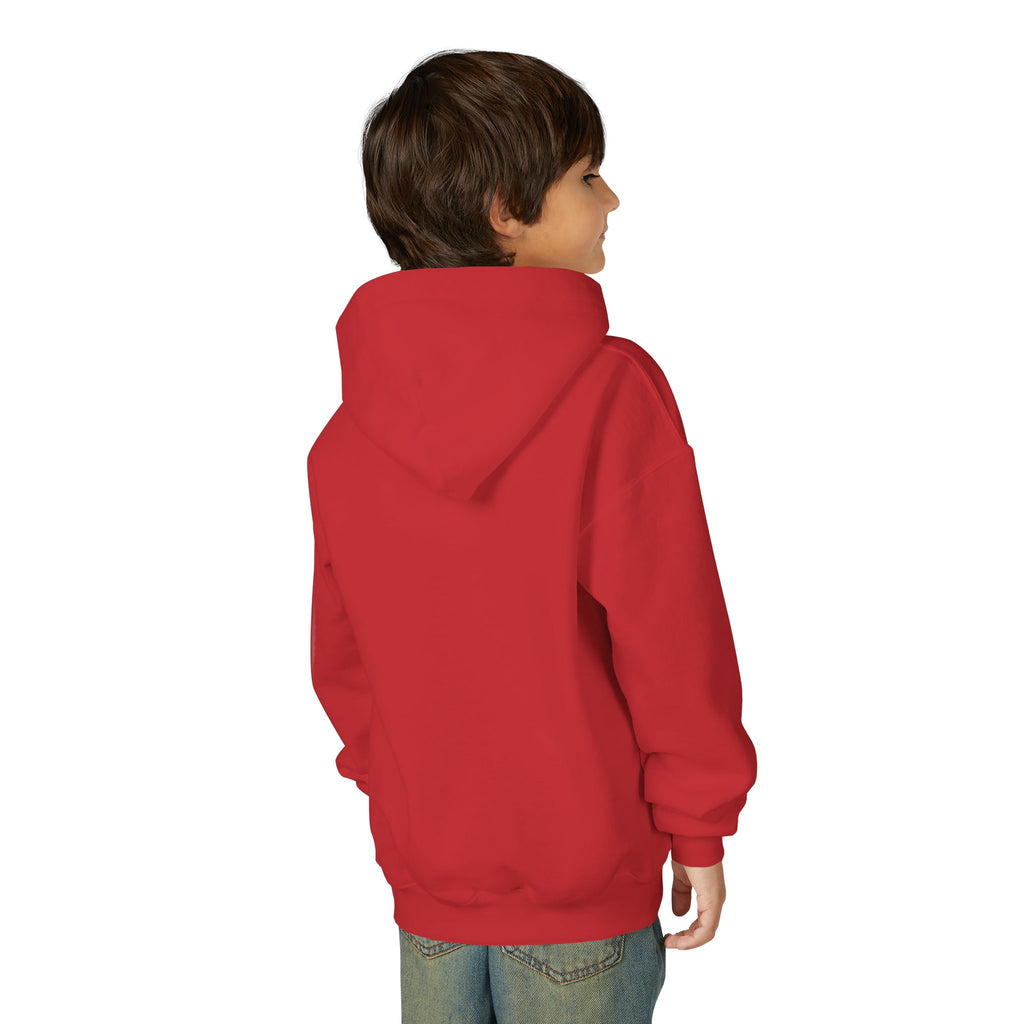 Youth Angelfish Hoodie - Colorful Aquarium Fish Graphic Sweatshirt