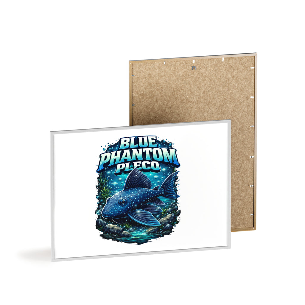 Blue Phantom Pleco Poster — Framed Aquarium Fish Wall Art