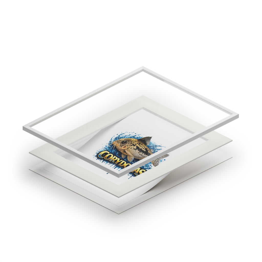 Peppered Corydoras Fish Fine Art Print with Passepartout Frame