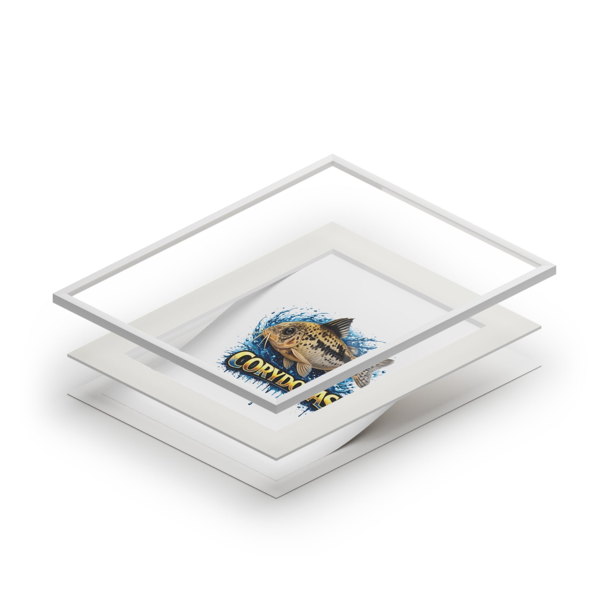 Peppered Corydoras Fish Fine Art Print with Passepartout Frame