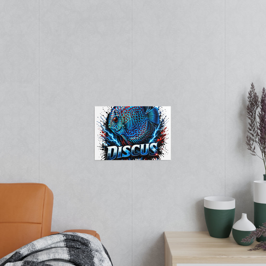 Discus Fish Photopaper Poster – Vibrant Aquarium Wall Art