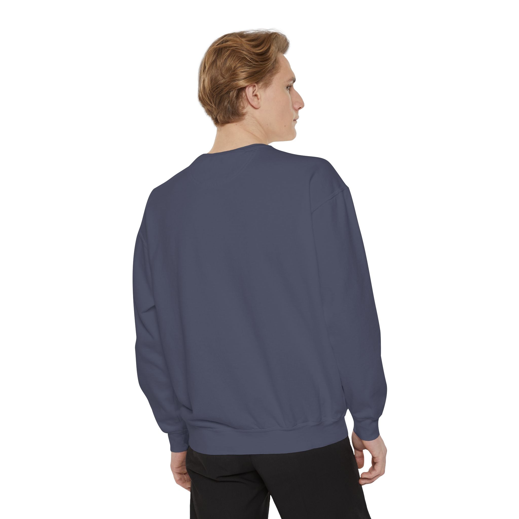 Angelfish Art Sweatshirt — Colorful Aquarium Fish Graphic Sweatshirt