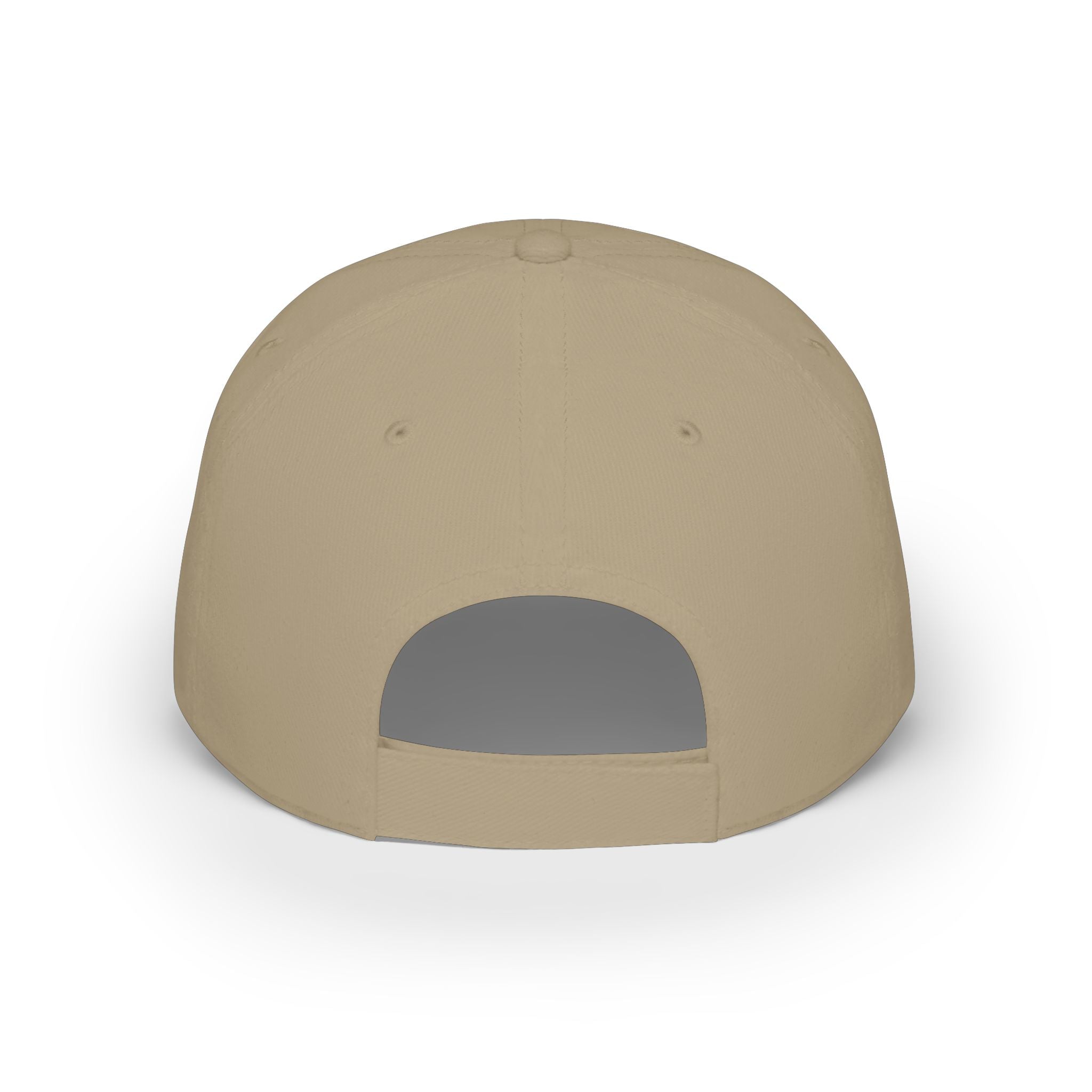 Armored Pleco – Premium Low-Profile Cap L-185