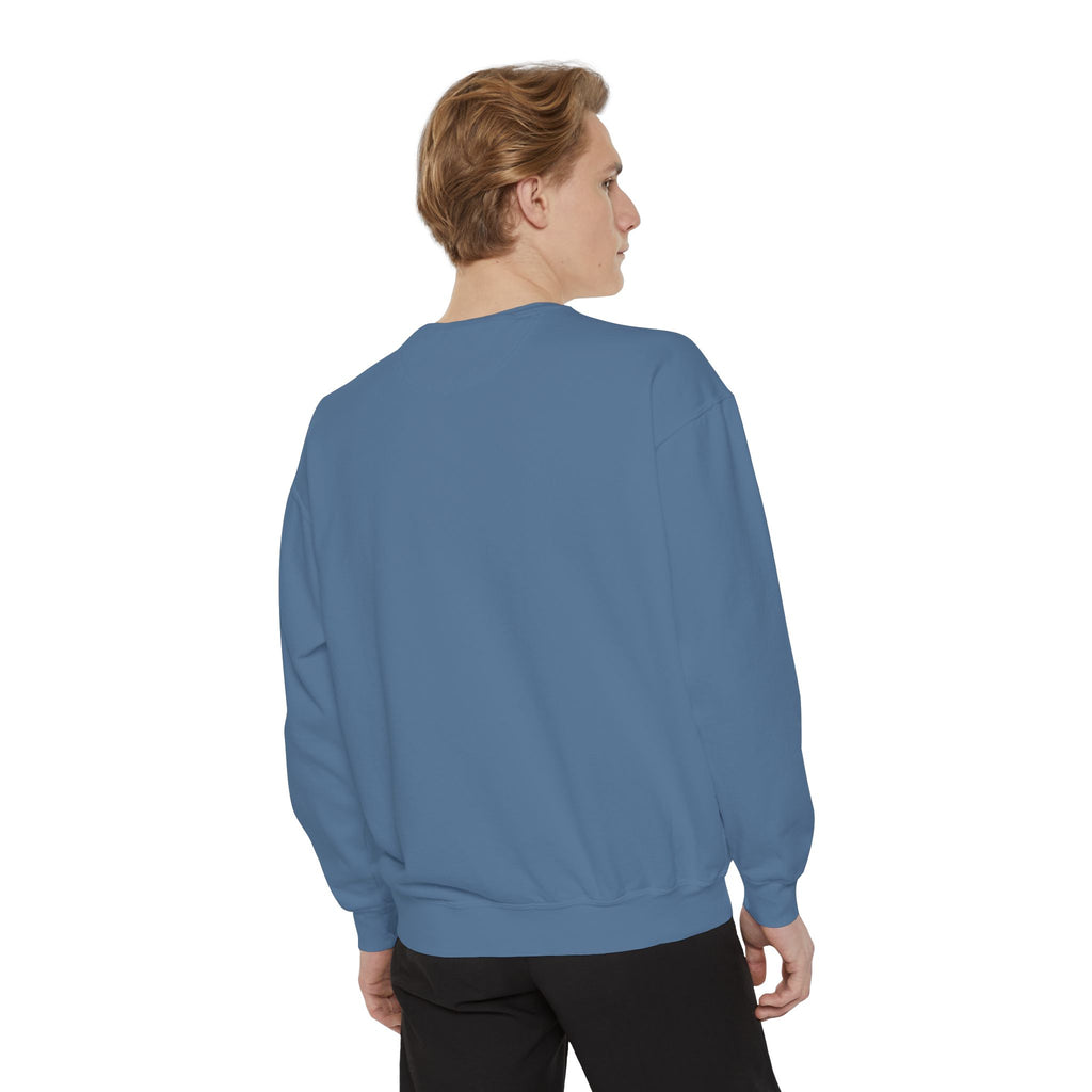 Angelfish Art Sweatshirt — Colorful Aquarium Fish Graphic Sweatshirt