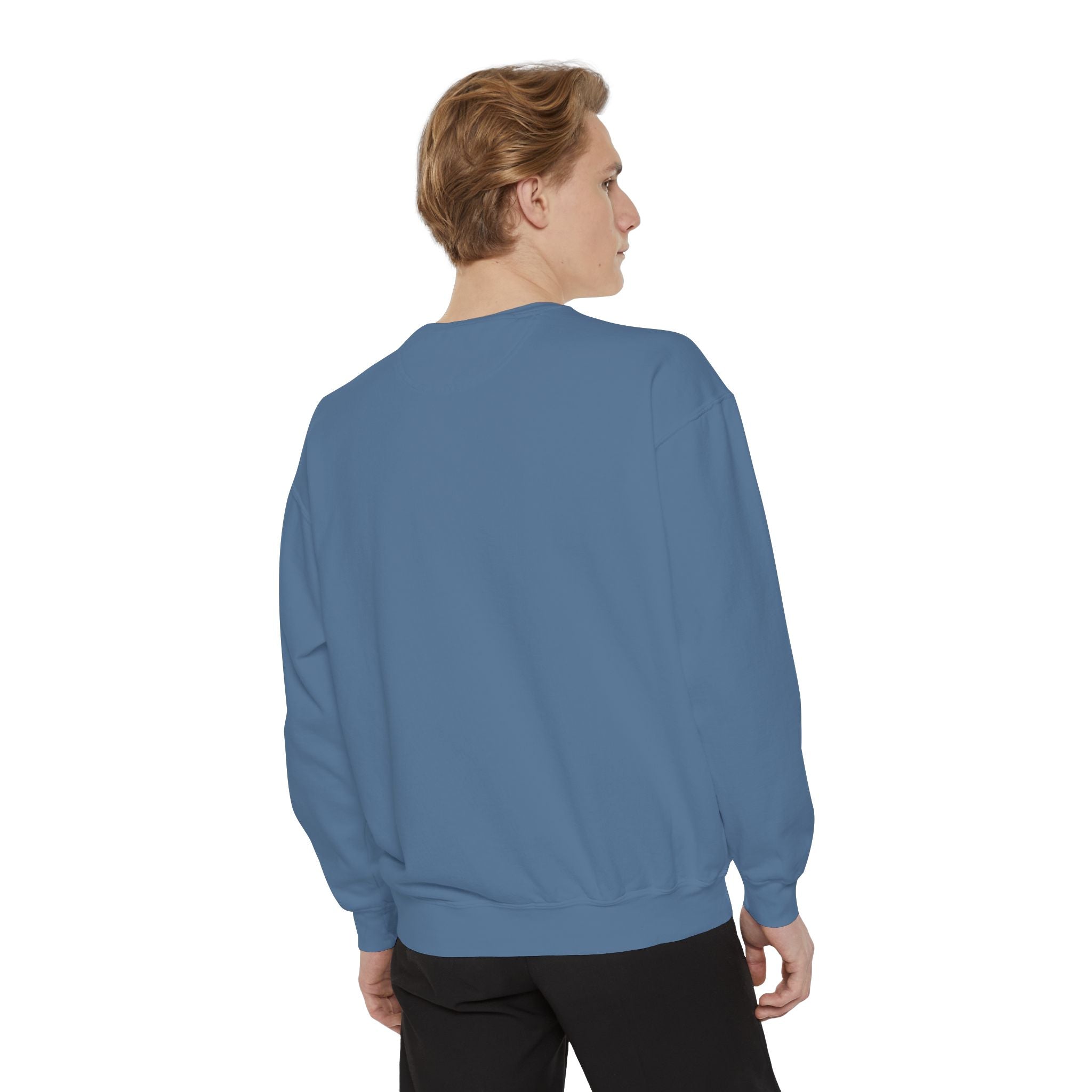 Angelfish Art Sweatshirt — Colorful Aquarium Fish Graphic Sweatshirt