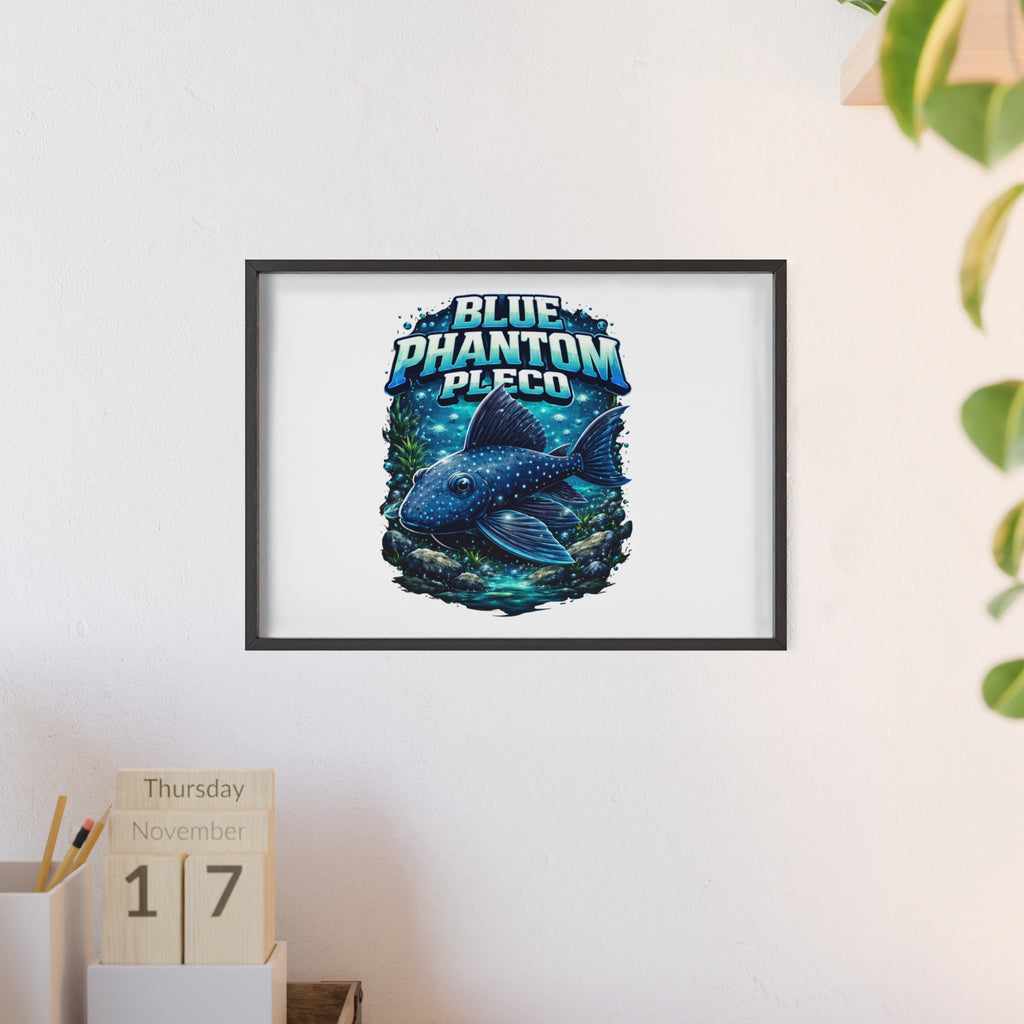 Blue Phantom Pleco Poster — Framed Aquarium Fish Wall Art