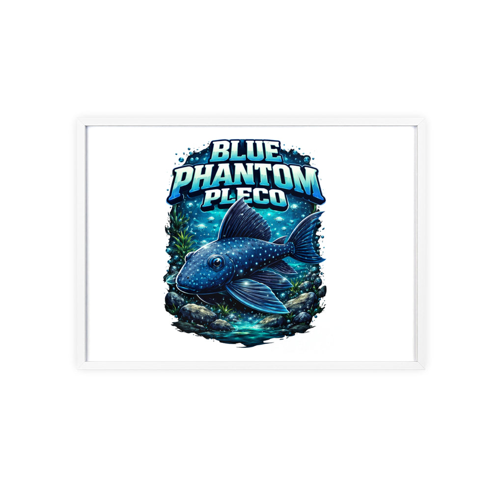 Blue Phantom Pleco Poster — Framed Aquarium Fish Wall Art
