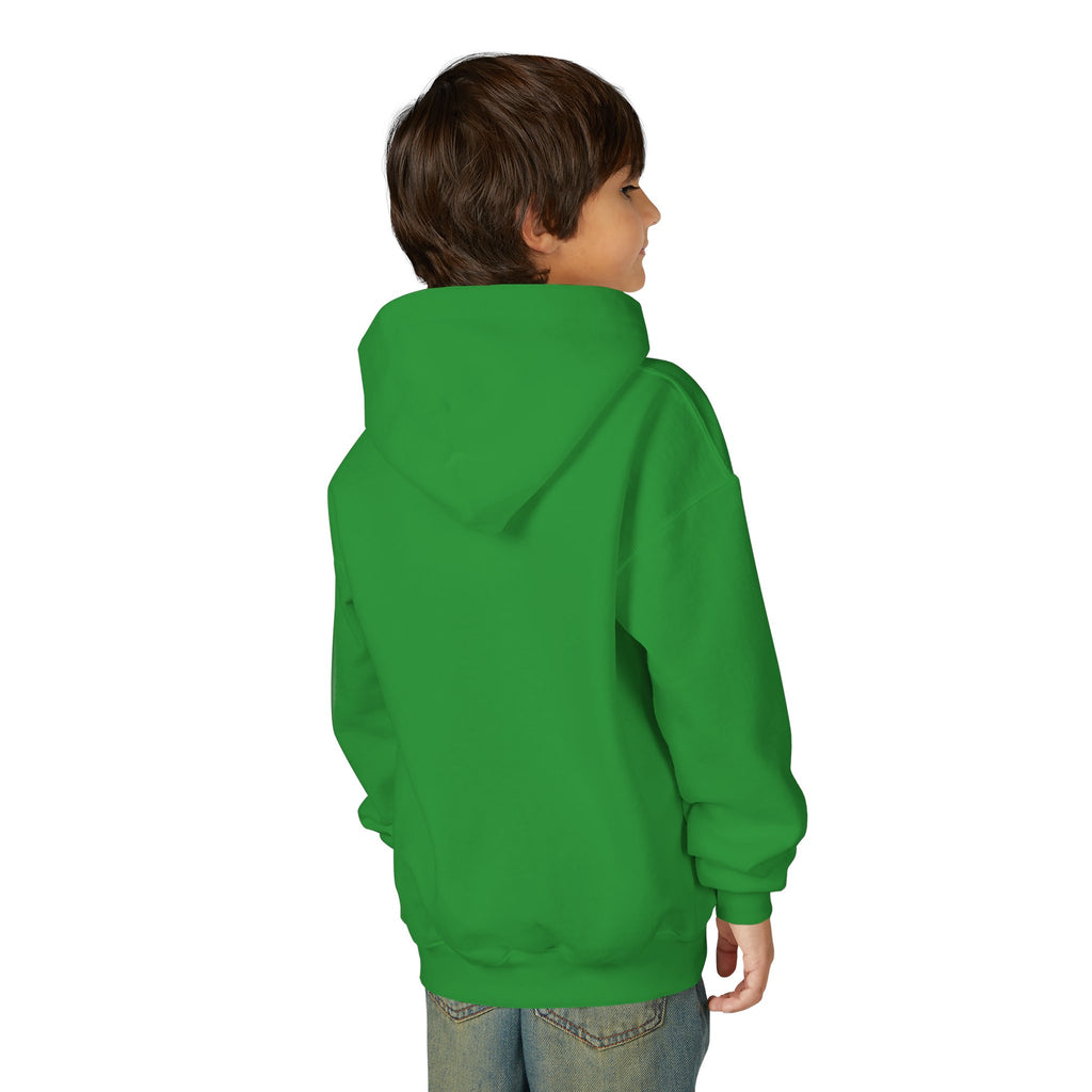 Youth Angelfish Hoodie - Colorful Aquarium Fish Graphic Sweatshirt