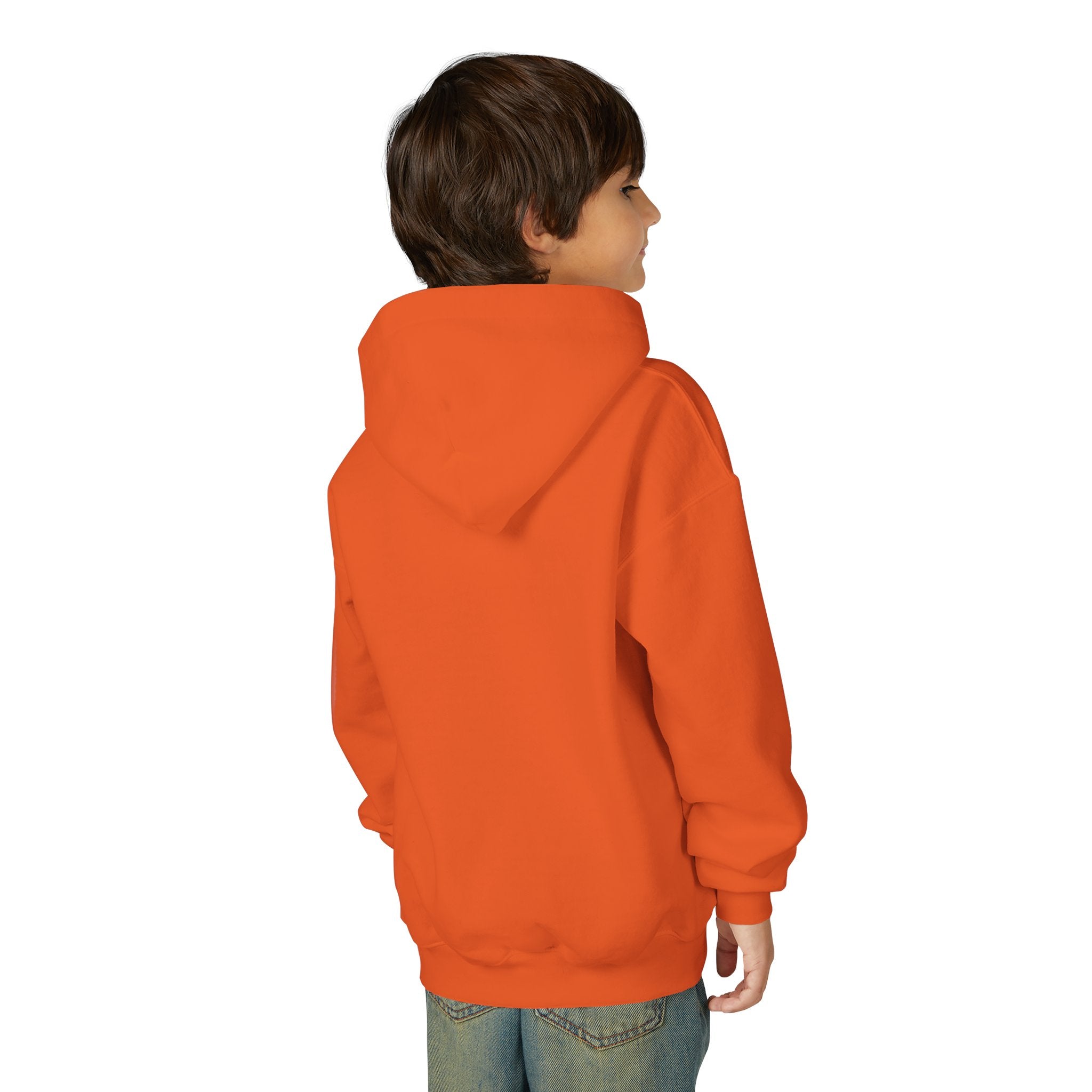Youth Angelfish Hoodie - Colorful Aquarium Fish Graphic Sweatshirt