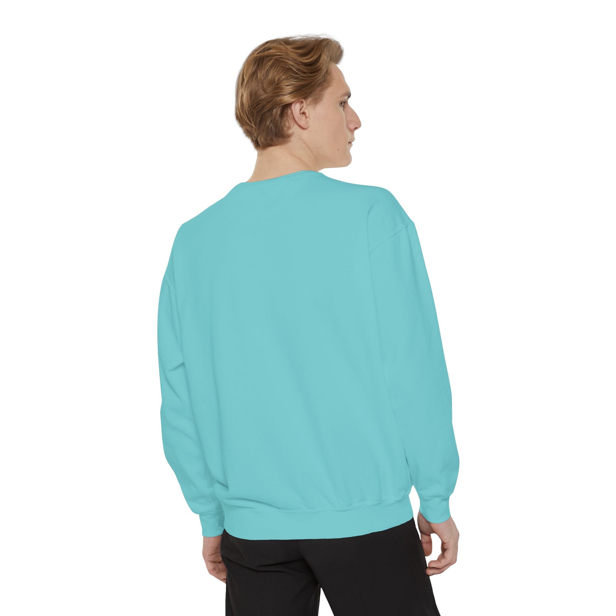 Angelfish Art Sweatshirt — Colorful Aquarium Fish Graphic Sweatshirt