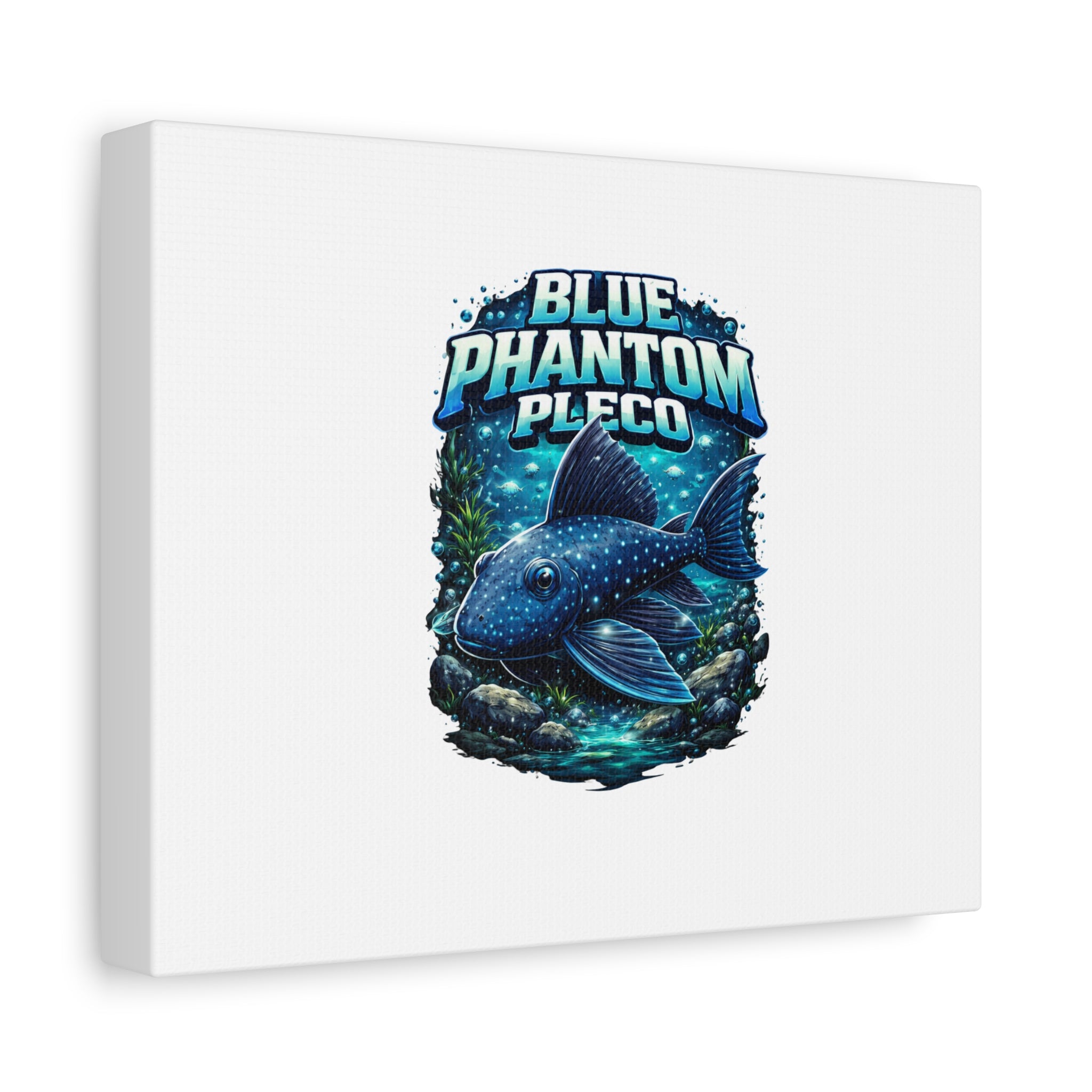 Blue Phantom Pleco Canvas Art — Matte Stretched Fish Print