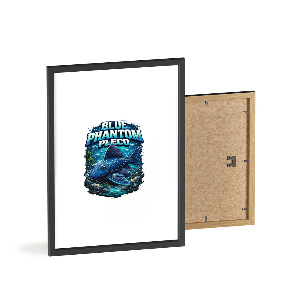 Blue Phantom Pleco Poster — Framed Aquarium Fish Wall Art