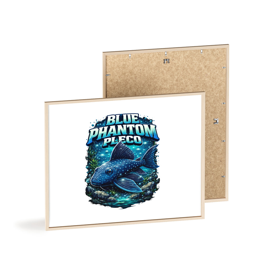 Blue Phantom Pleco Poster — Framed Aquarium Fish Wall Art