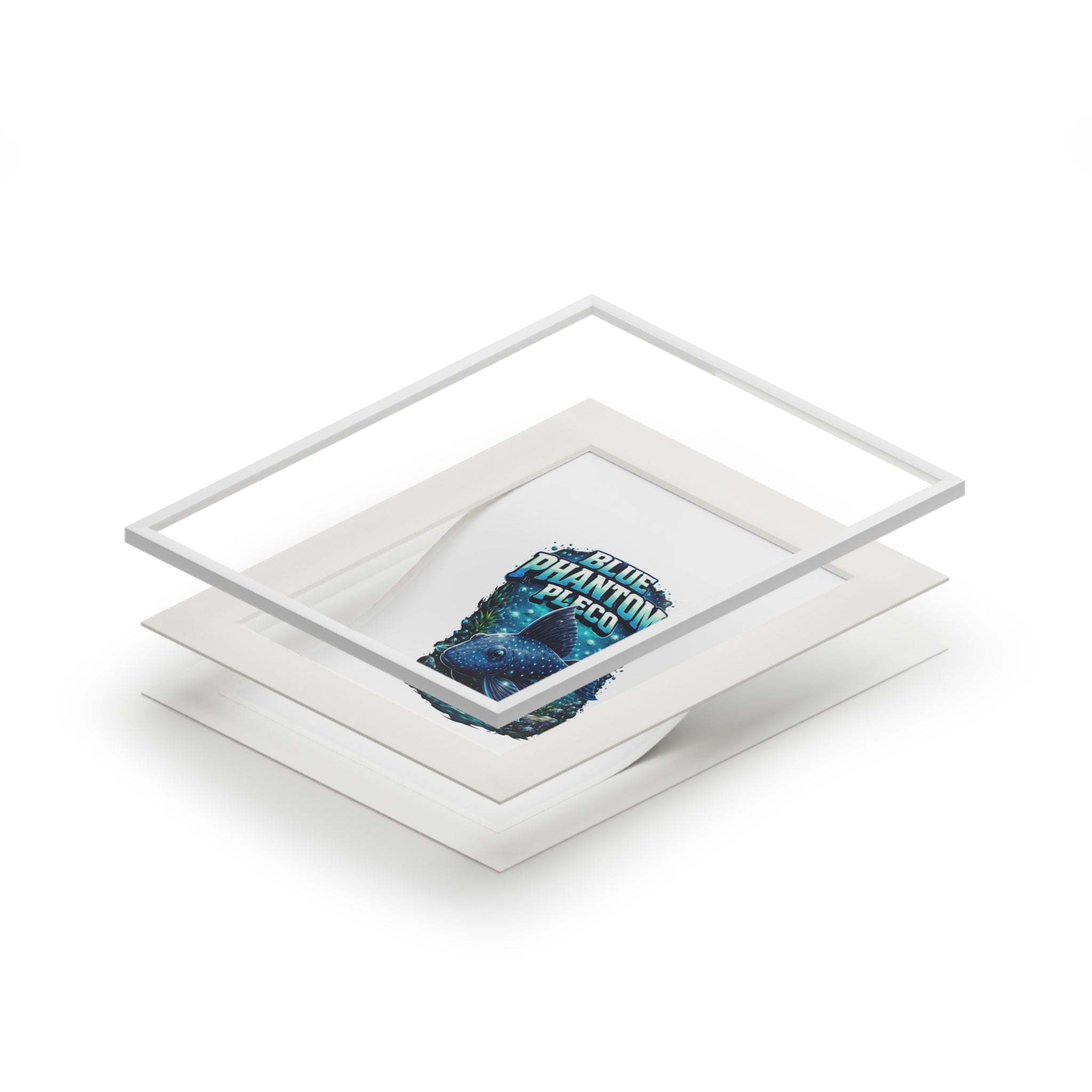 Blue Phantom Pleco Fine Art Print (Passepartout Frame)