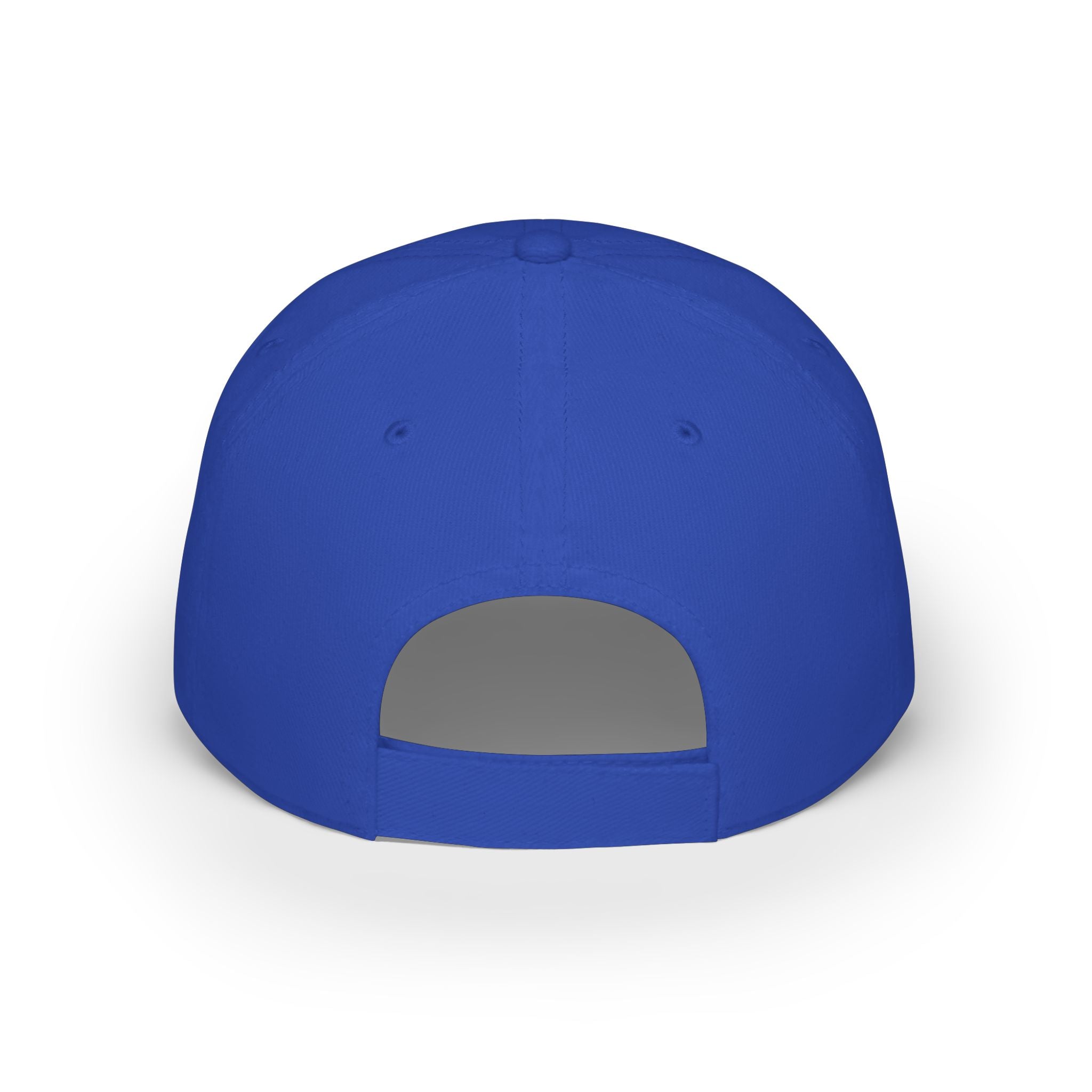 Armored Pleco – Premium Low-Profile Cap L-185