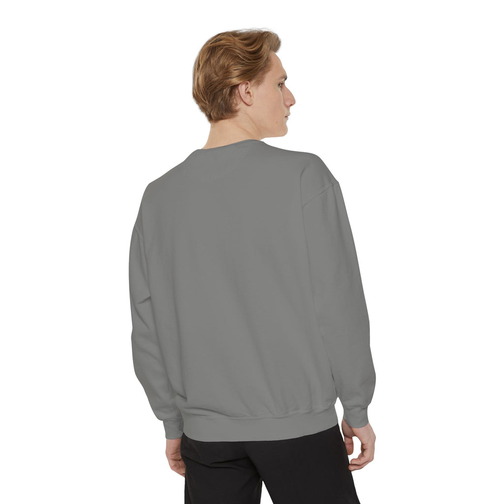 Angelfish Art Sweatshirt — Colorful Aquarium Fish Graphic Sweatshirt