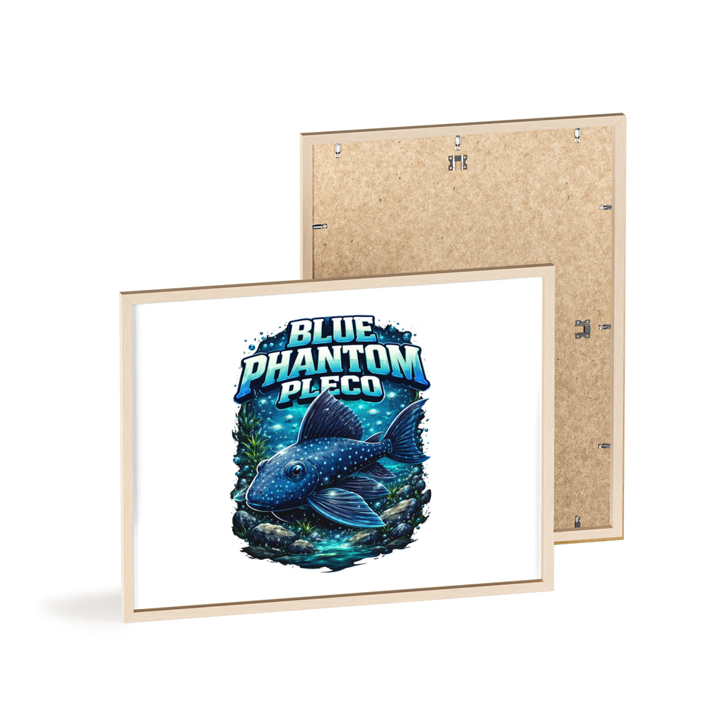 Blue Phantom Pleco Poster — Framed Aquarium Fish Wall Art