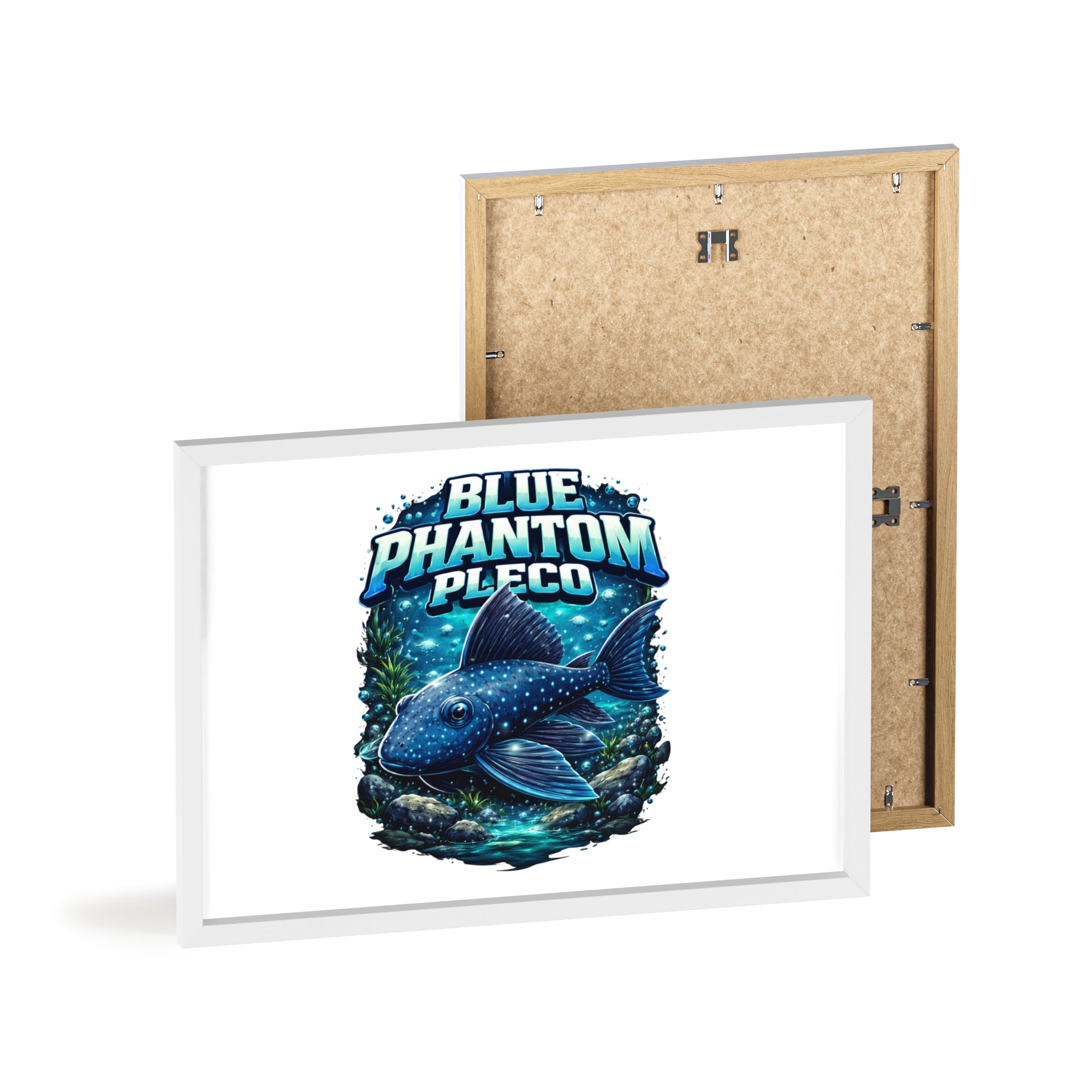Blue Phantom Pleco Poster — Framed Aquarium Fish Wall Art