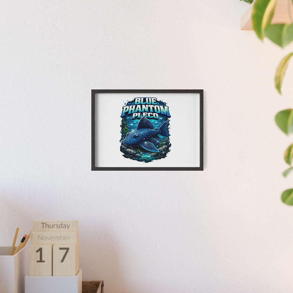 Blue Phantom Pleco Poster — Framed Aquarium Fish Wall Art