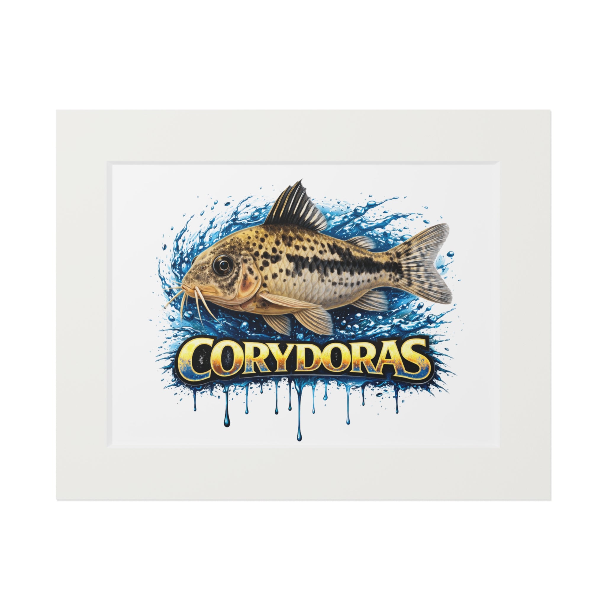 Peppered Corydoras Fish Fine Art Print with Passepartout Frame