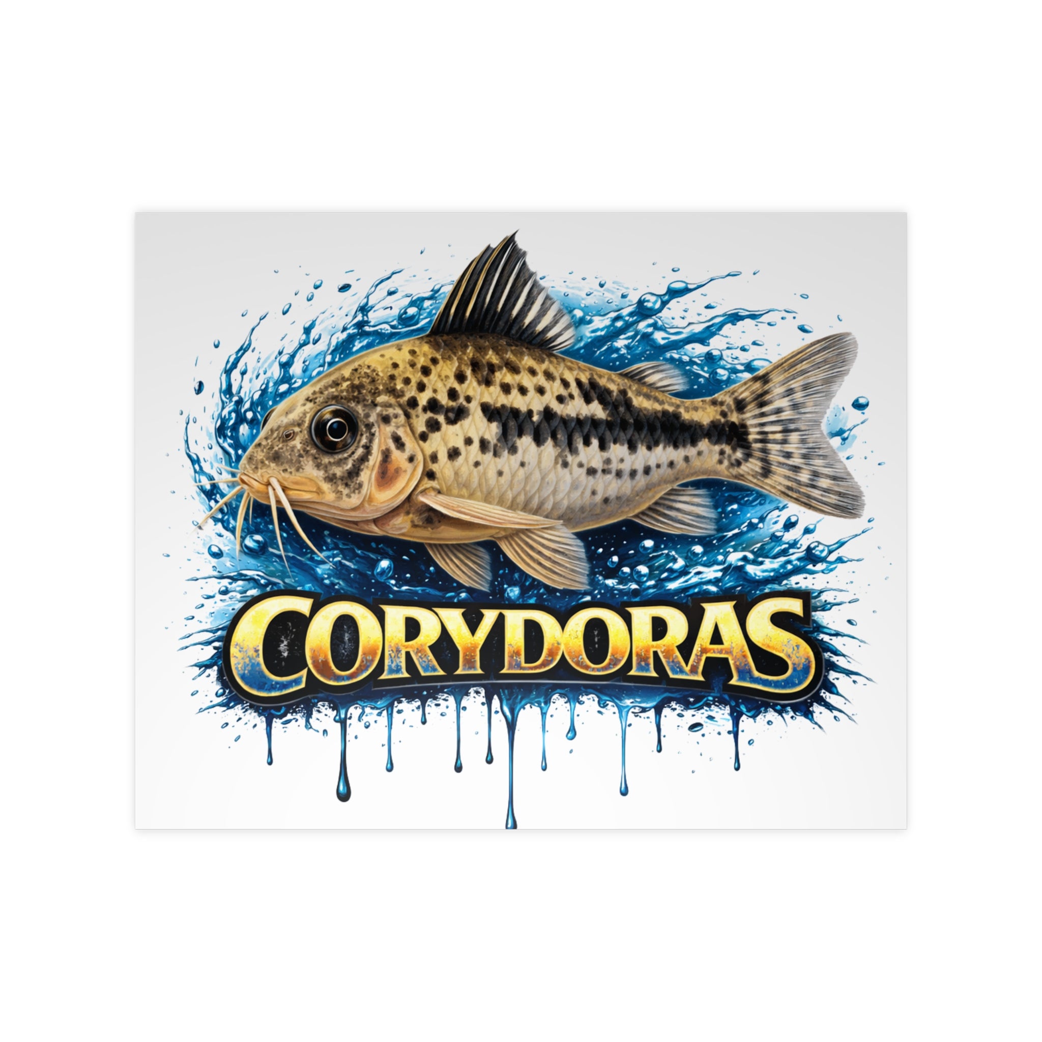 Peppered Cory Photopaper Poster — Colorful Aquarium Catfish Art Print