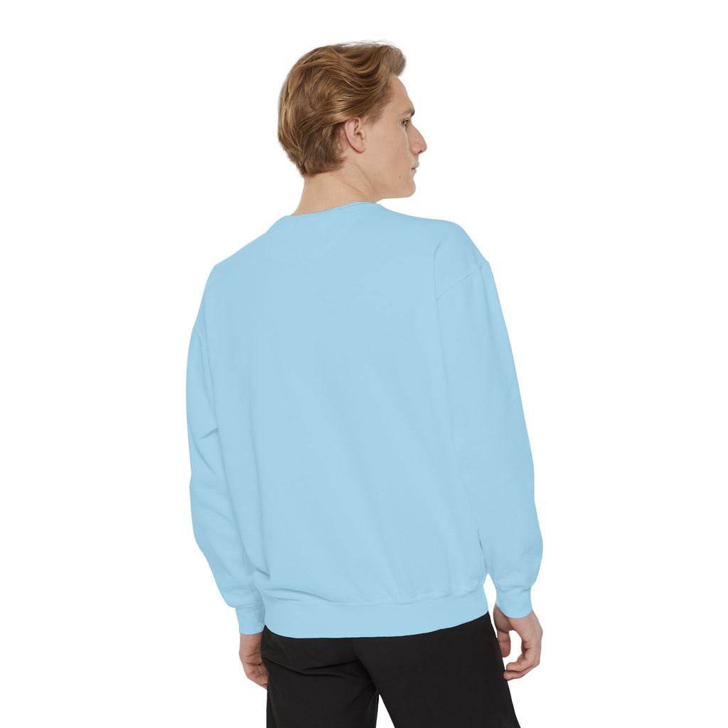 Angelfish Art Sweatshirt — Colorful Aquarium Fish Graphic Sweatshirt