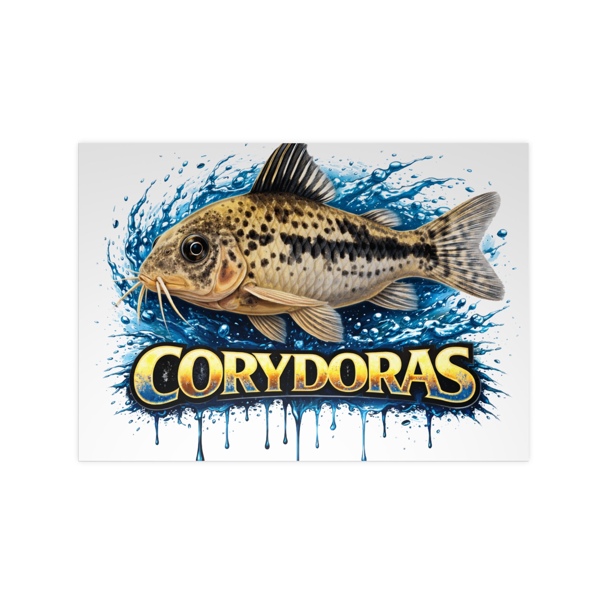 Peppered Cory Photopaper Poster — Colorful Aquarium Catfish Art Print