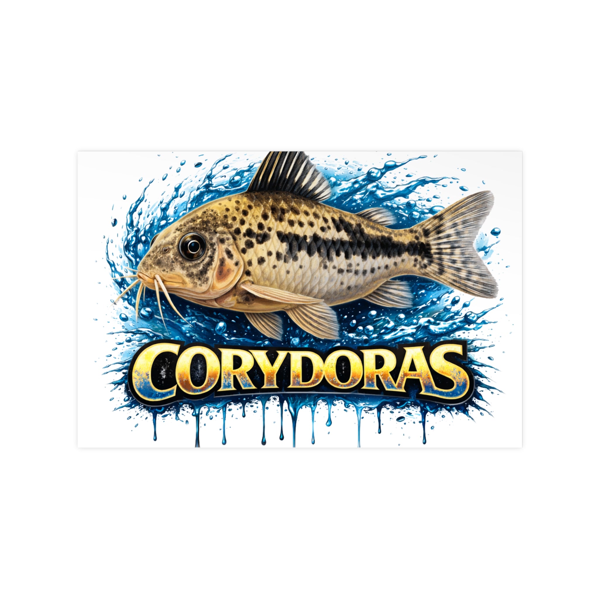 Peppered Cory Photopaper Poster — Colorful Aquarium Catfish Art Print