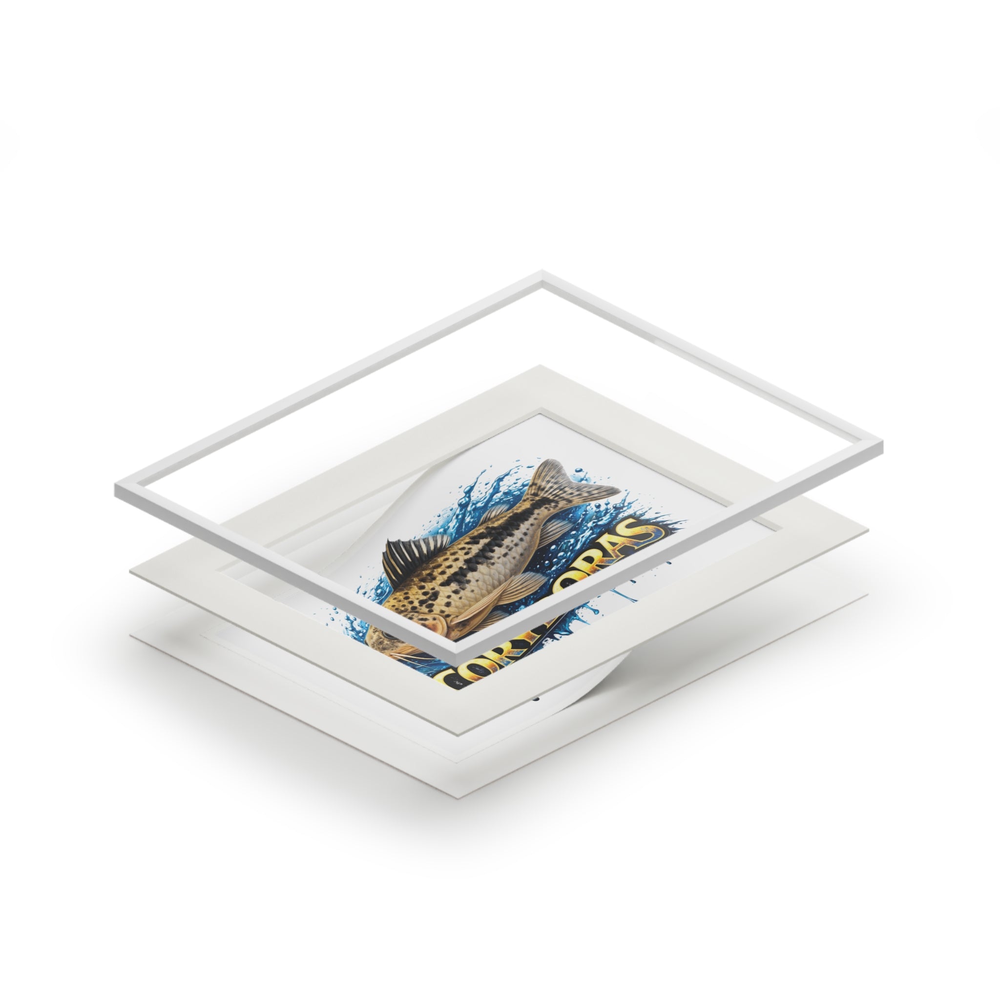Peppered Corydoras Fish Fine Art Print with Passepartout Frame