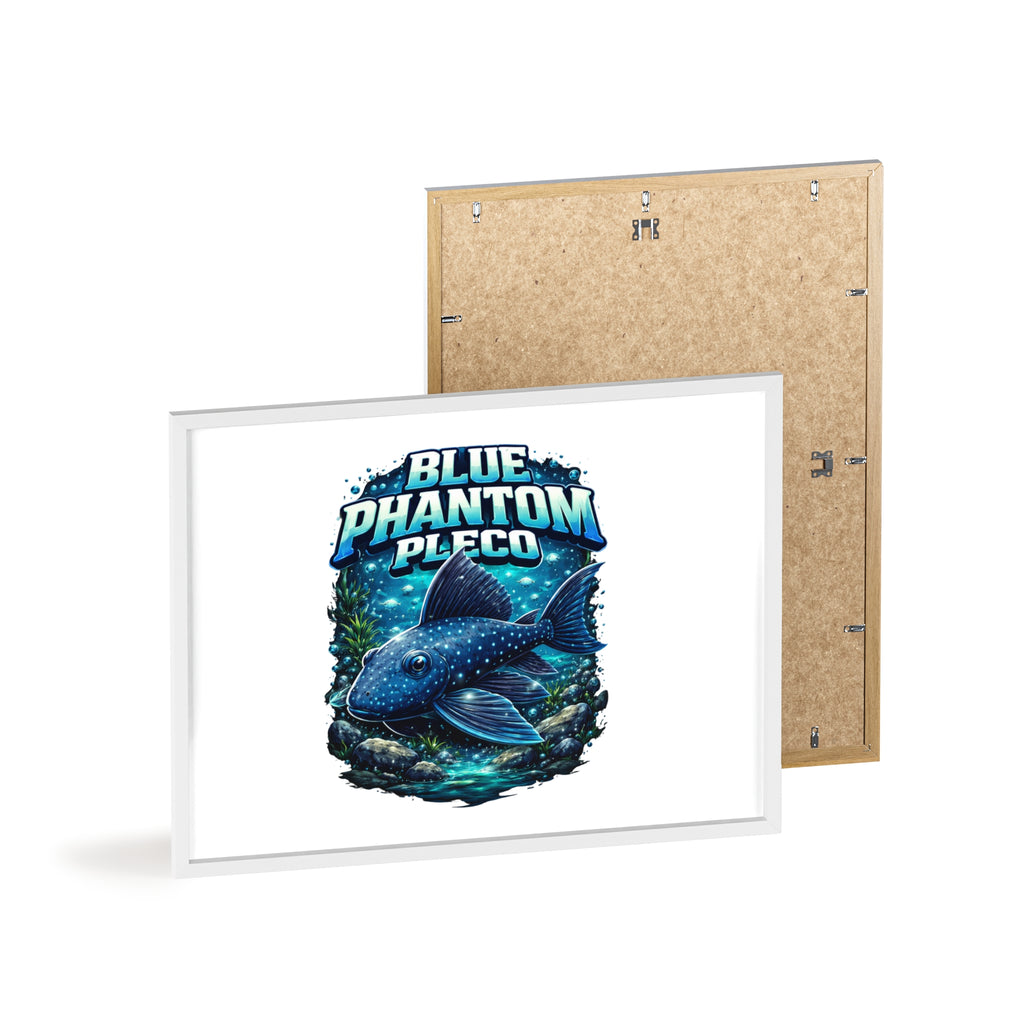 Blue Phantom Pleco Poster — Framed Aquarium Fish Wall Art