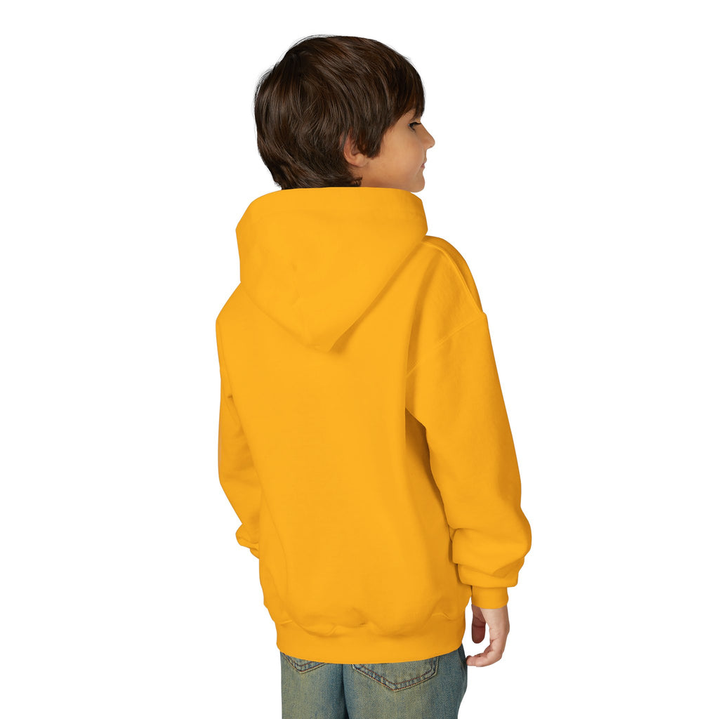 Youth Angelfish Hoodie - Colorful Aquarium Fish Graphic Sweatshirt