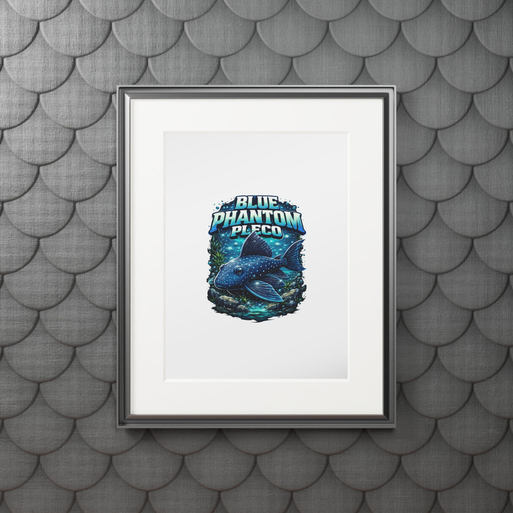 Blue Phantom Pleco Fine Art Print (Passepartout Frame)