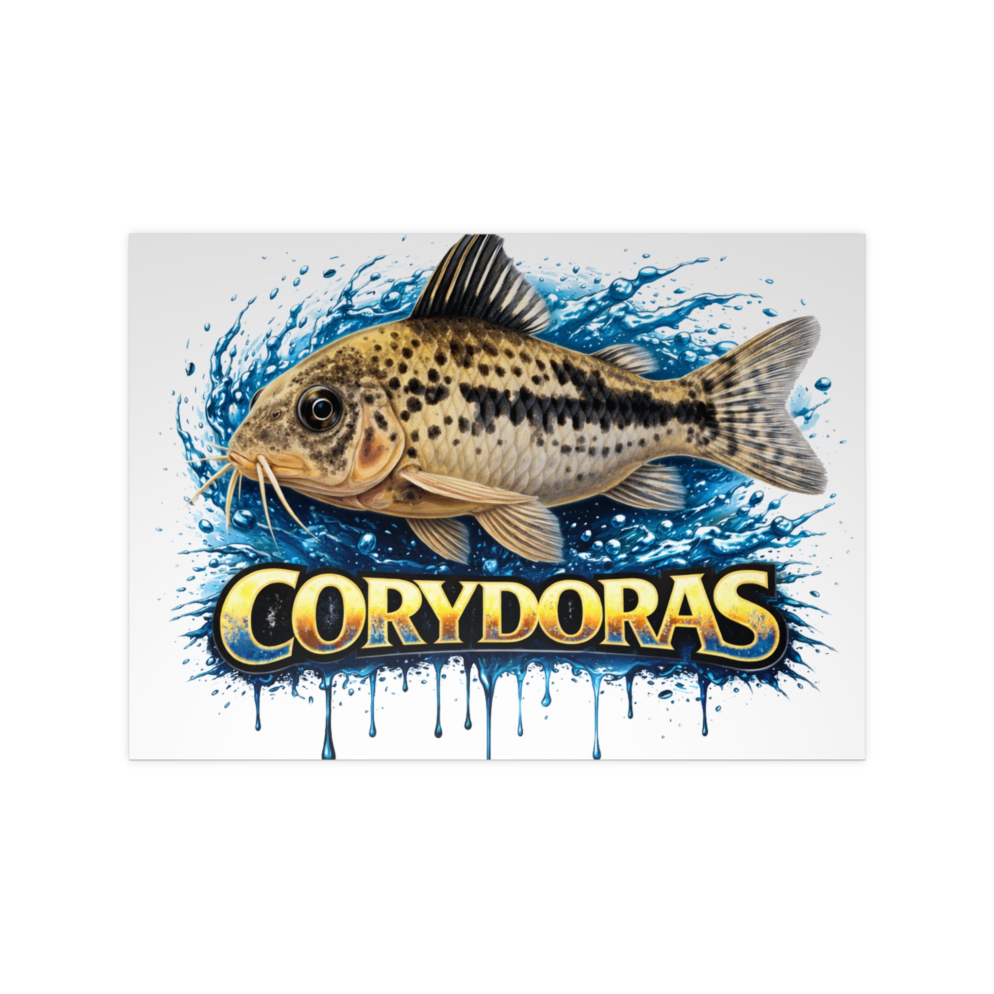Peppered Cory Photopaper Poster — Colorful Aquarium Catfish Art Print