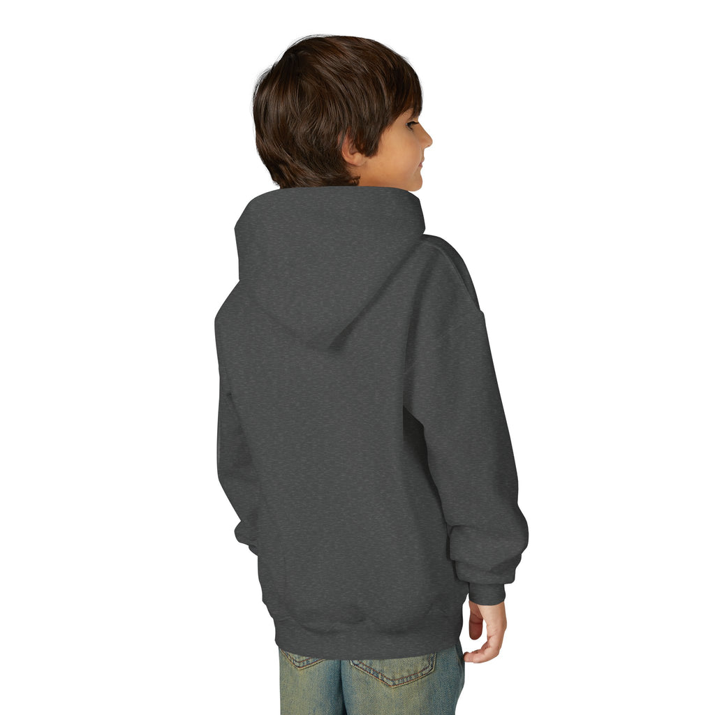 Youth Angelfish Hoodie - Colorful Aquarium Fish Graphic Sweatshirt