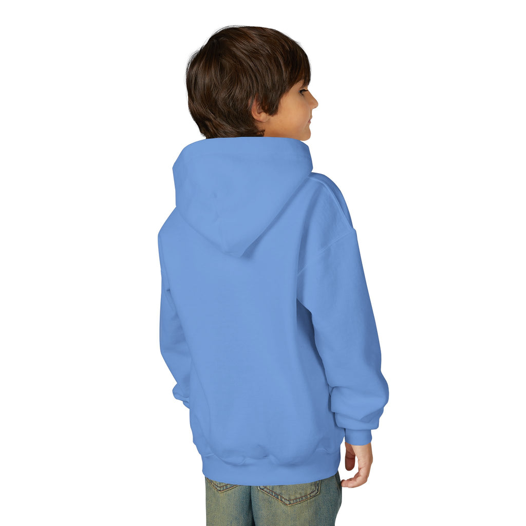 Youth Angelfish Hoodie - Colorful Aquarium Fish Graphic Sweatshirt