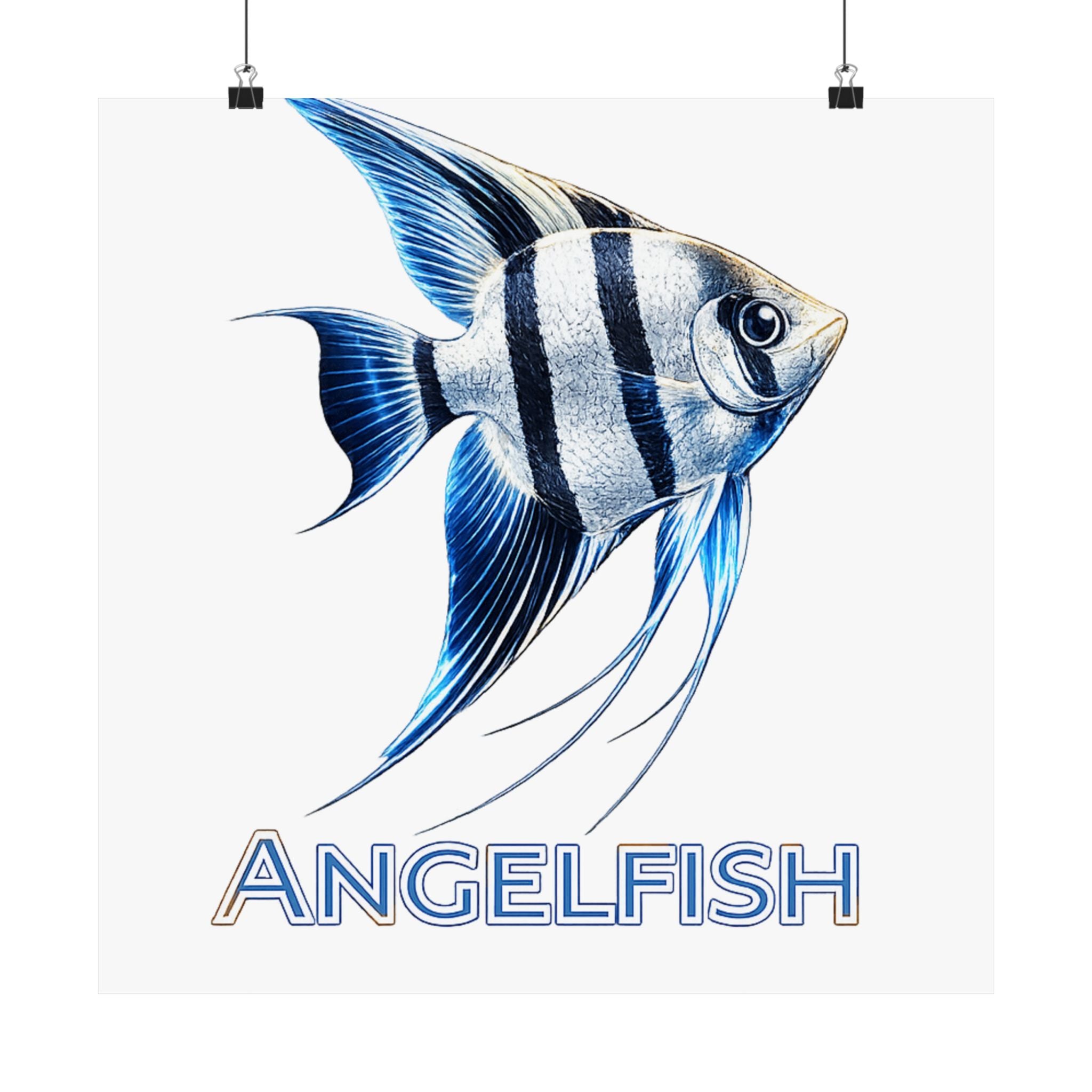 Angelfish Wall Poster — Matte Vertical Marine Fish Art Print