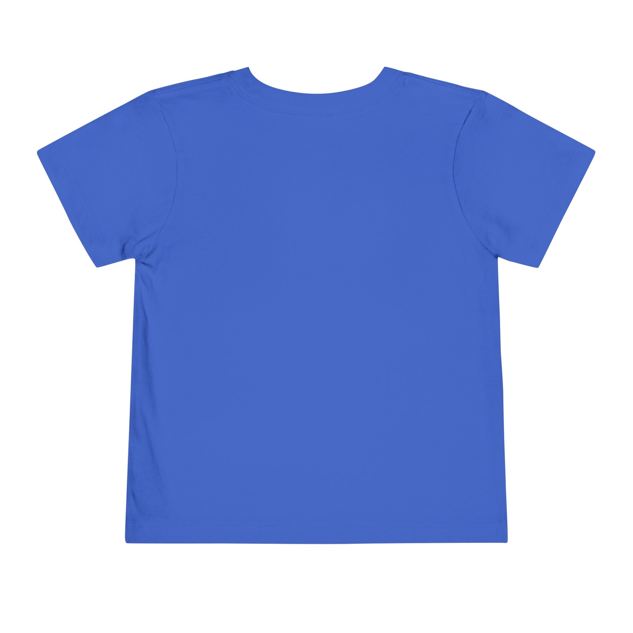 Toddler Tee - Colorful Aquarium Angelfish Graphic Shirt