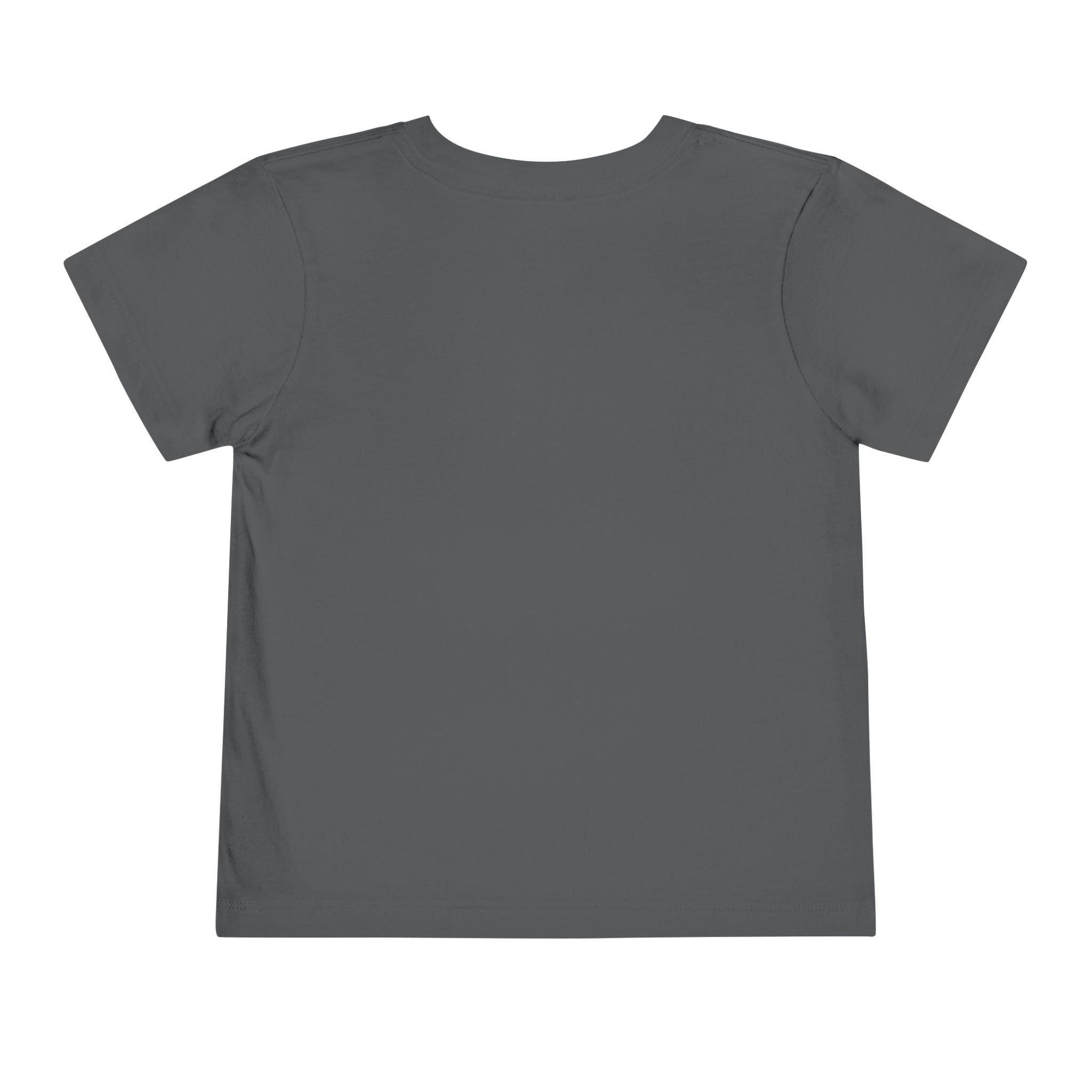 Toddler Tee - Colorful Aquarium Angelfish Graphic Shirt