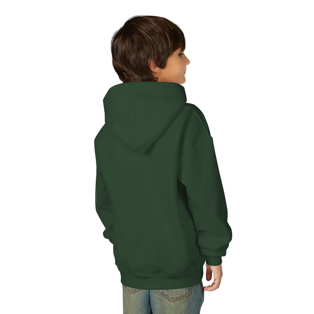 Youth Angelfish Hoodie - Colorful Aquarium Fish Graphic Sweatshirt