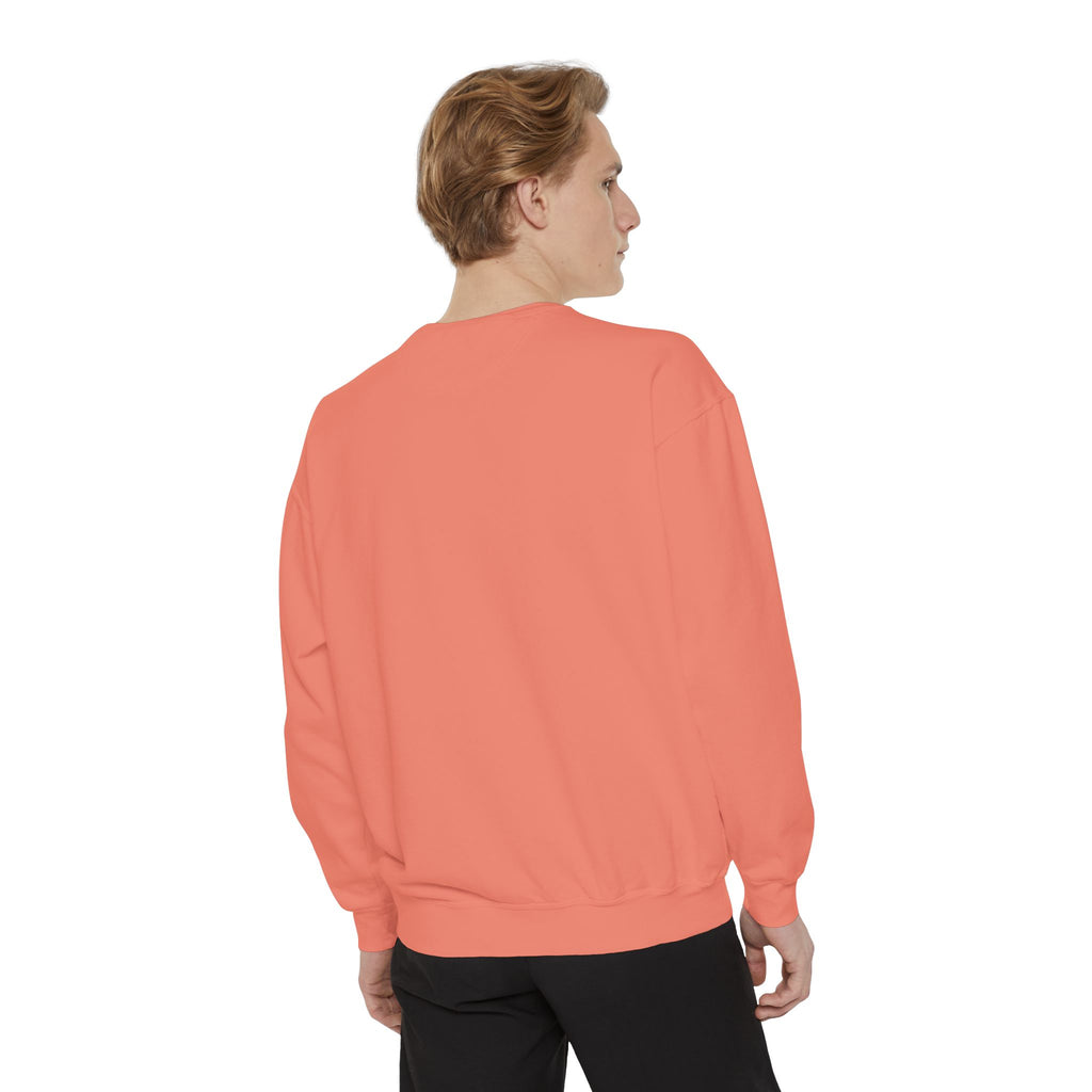 Angelfish Art Sweatshirt — Colorful Aquarium Fish Graphic Sweatshirt