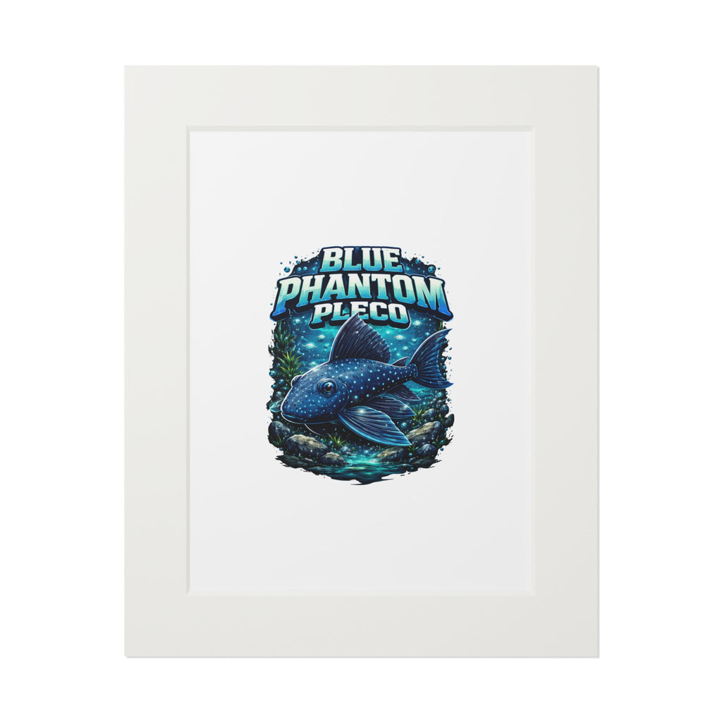 Blue Phantom Pleco Fine Art Print (Passepartout Frame)