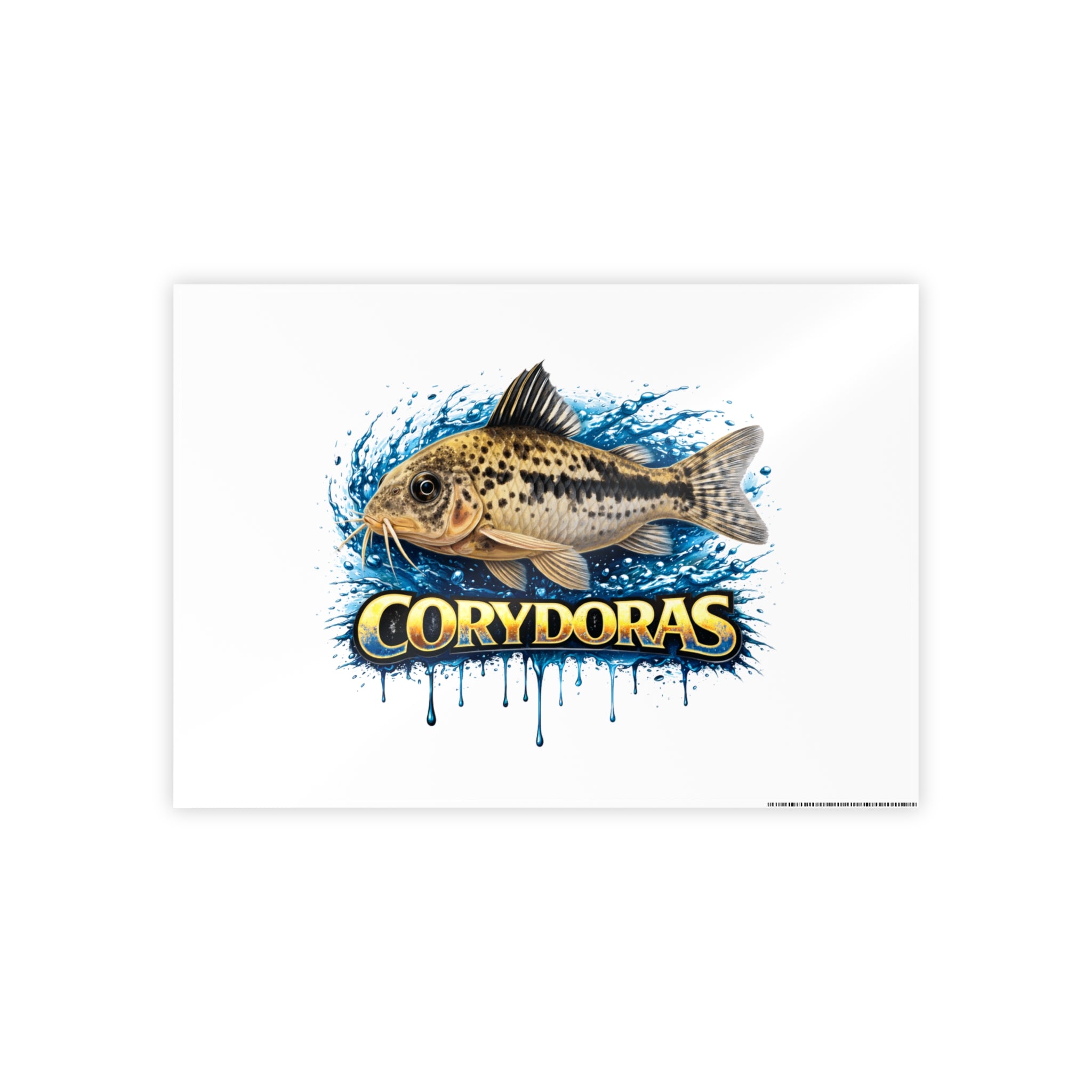 Corydoras Fish Gloss Poster – Aquarium Artwork Print