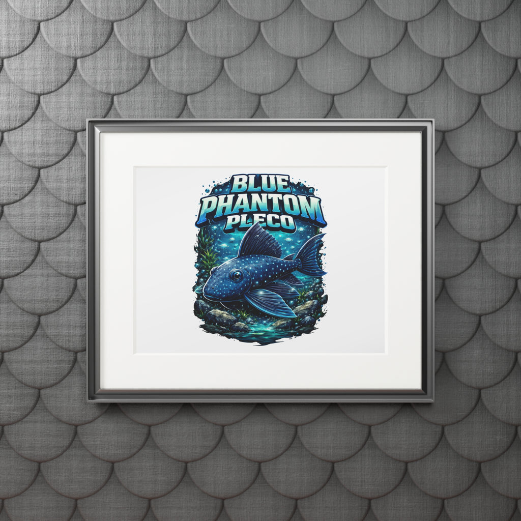 Blue Phantom Pleco Fine Art Print (Passepartout Frame)