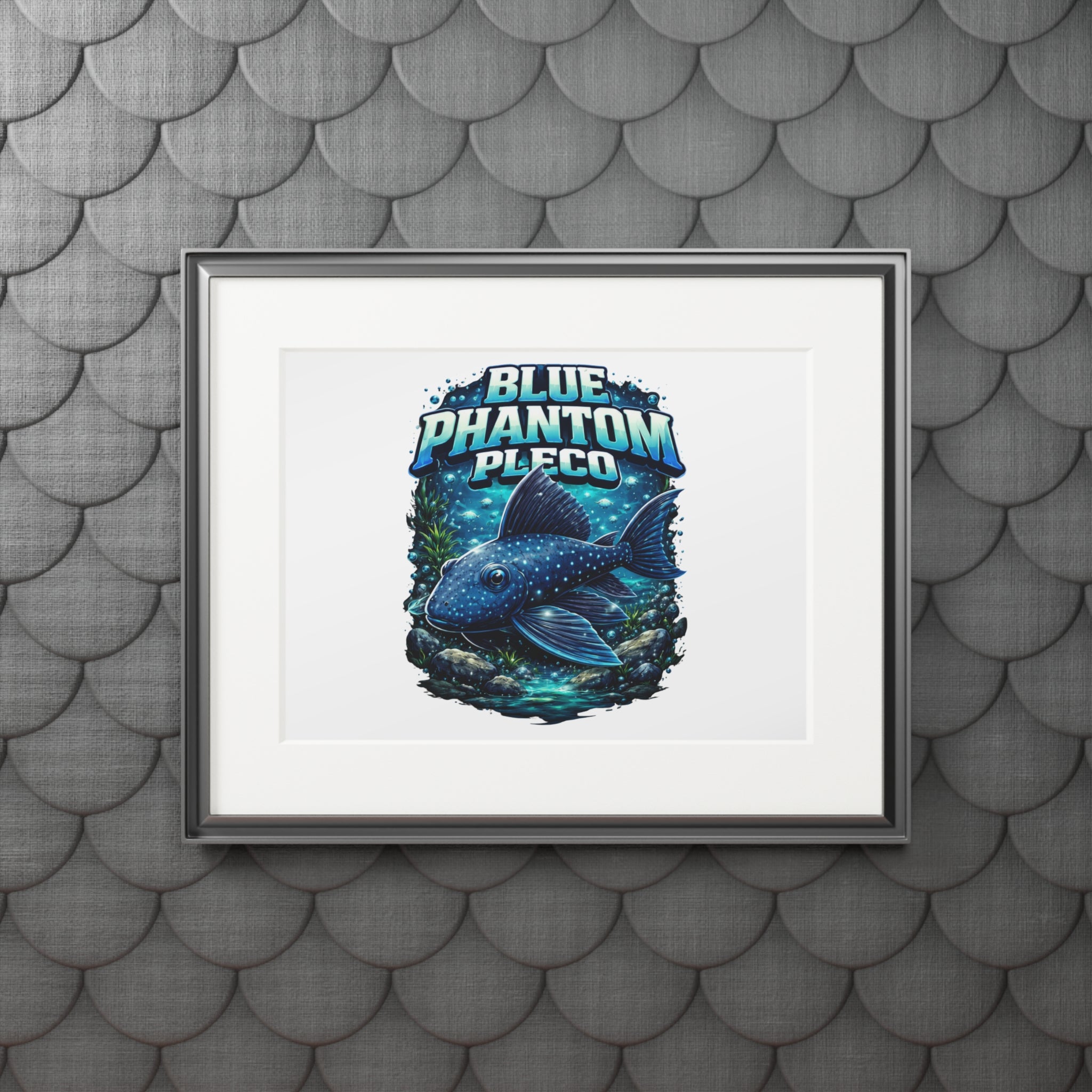Blue Phantom Pleco Fine Art Print (Passepartout Frame)