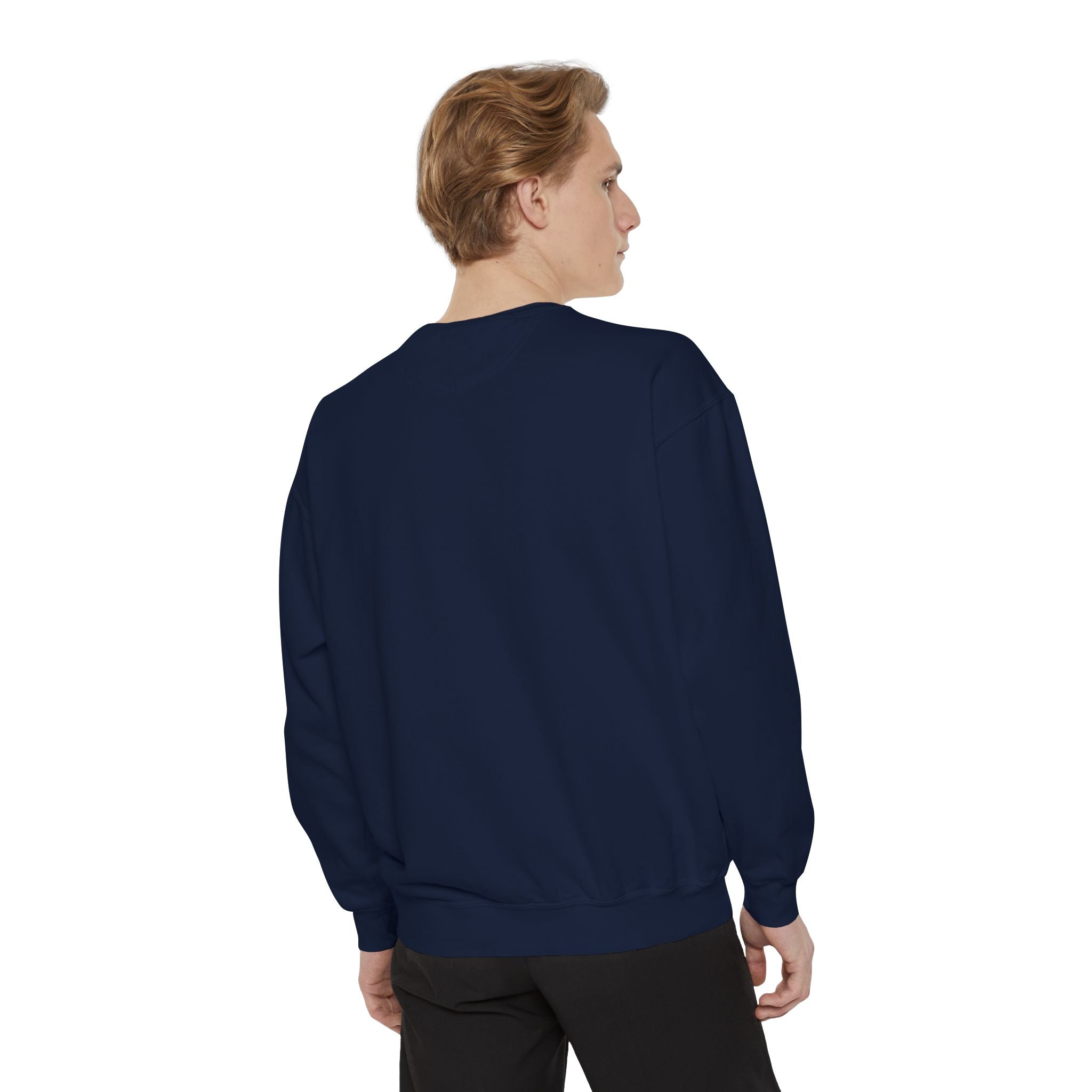 Angelfish Art Sweatshirt — Colorful Aquarium Fish Graphic Sweatshirt