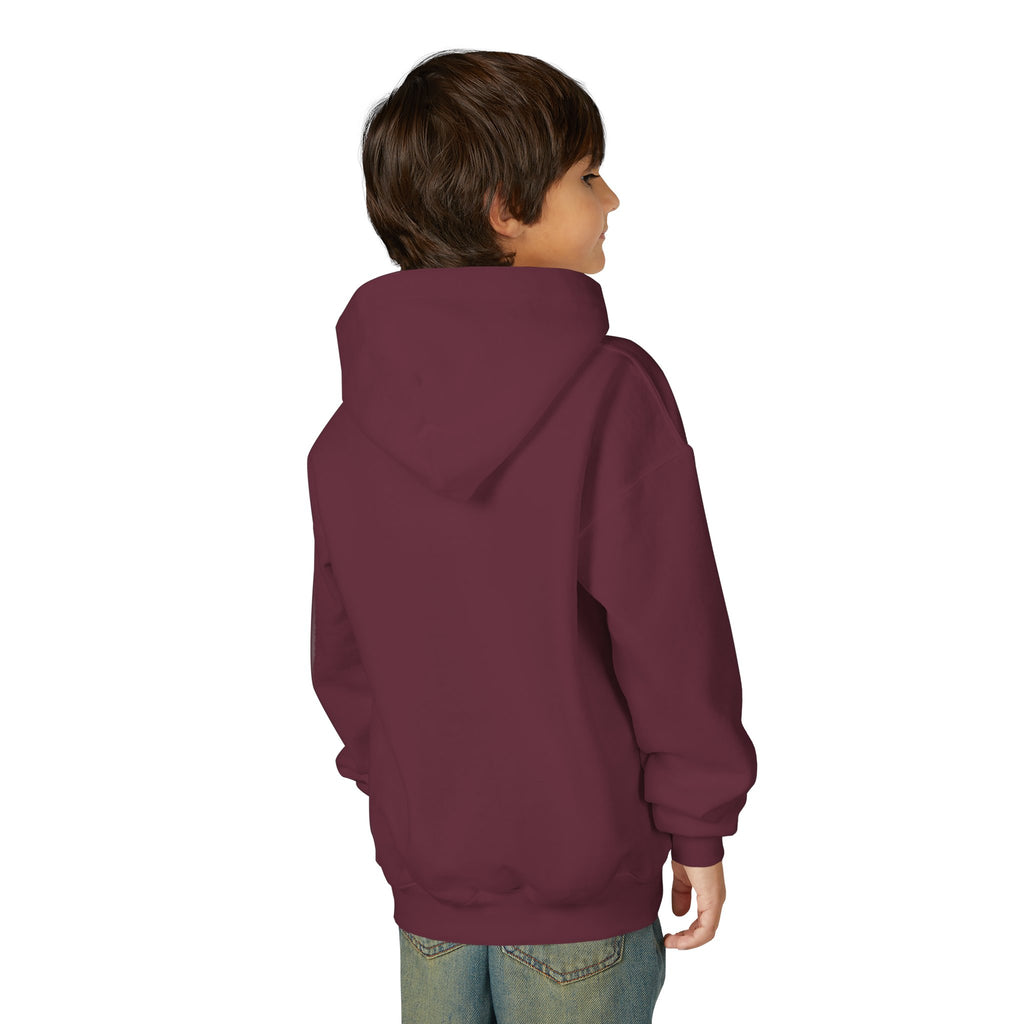 Youth Angelfish Hoodie - Colorful Aquarium Fish Graphic Sweatshirt