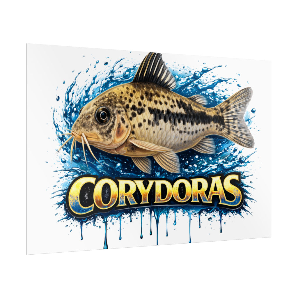 Corydoras Aquarium Fish Poster — Rolled Decorative Wall Art for Fishkeepers