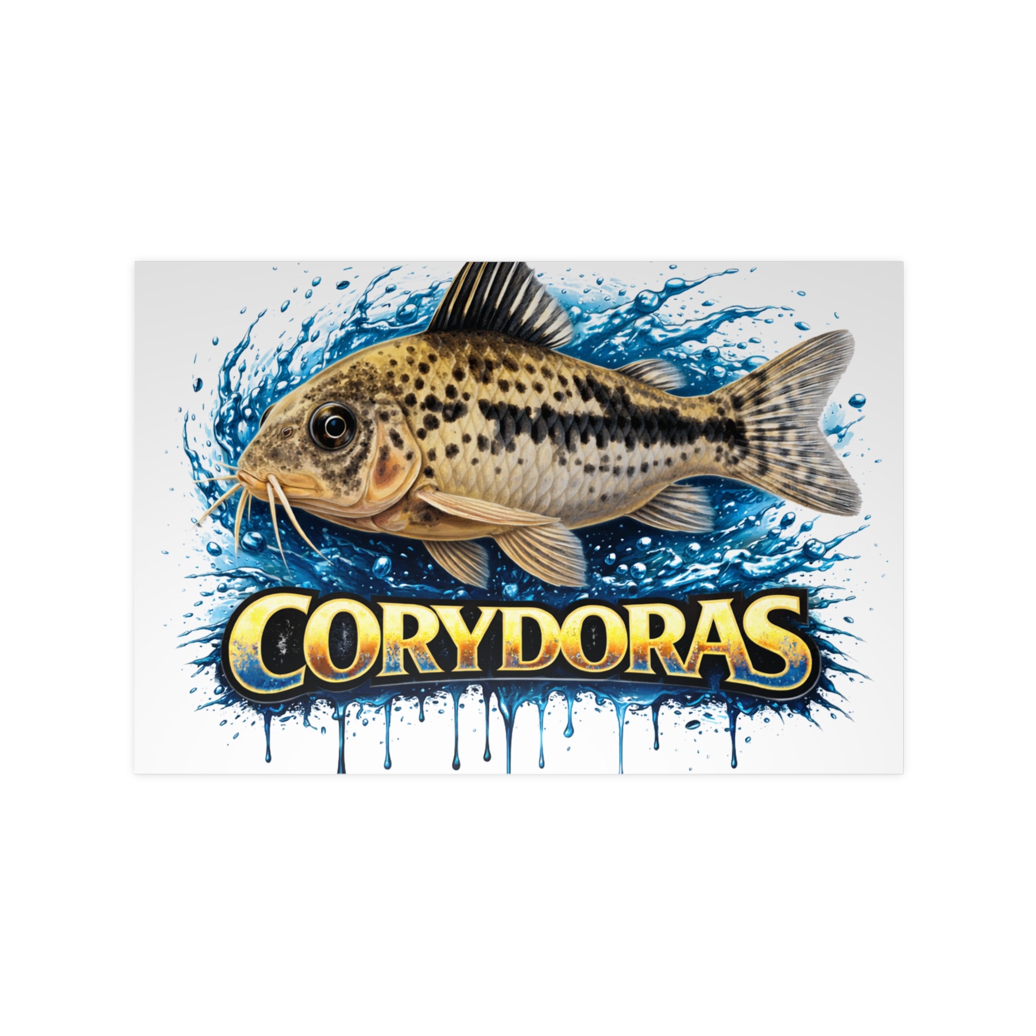 Peppered Cory Photopaper Poster — Colorful Aquarium Catfish Art Print