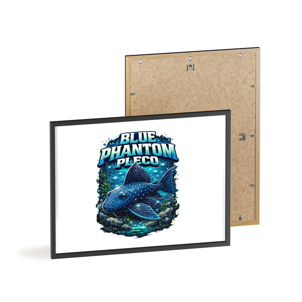 Blue Phantom Pleco Poster — Framed Aquarium Fish Wall Art